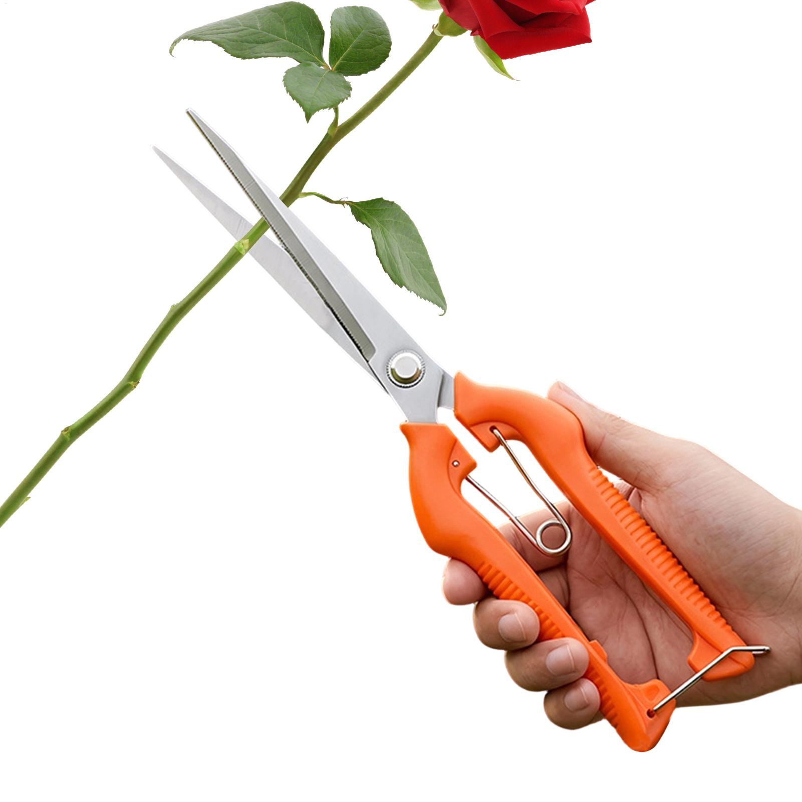 Gardening Tools Women - Sécateur professionnel en acier inoxydable pour