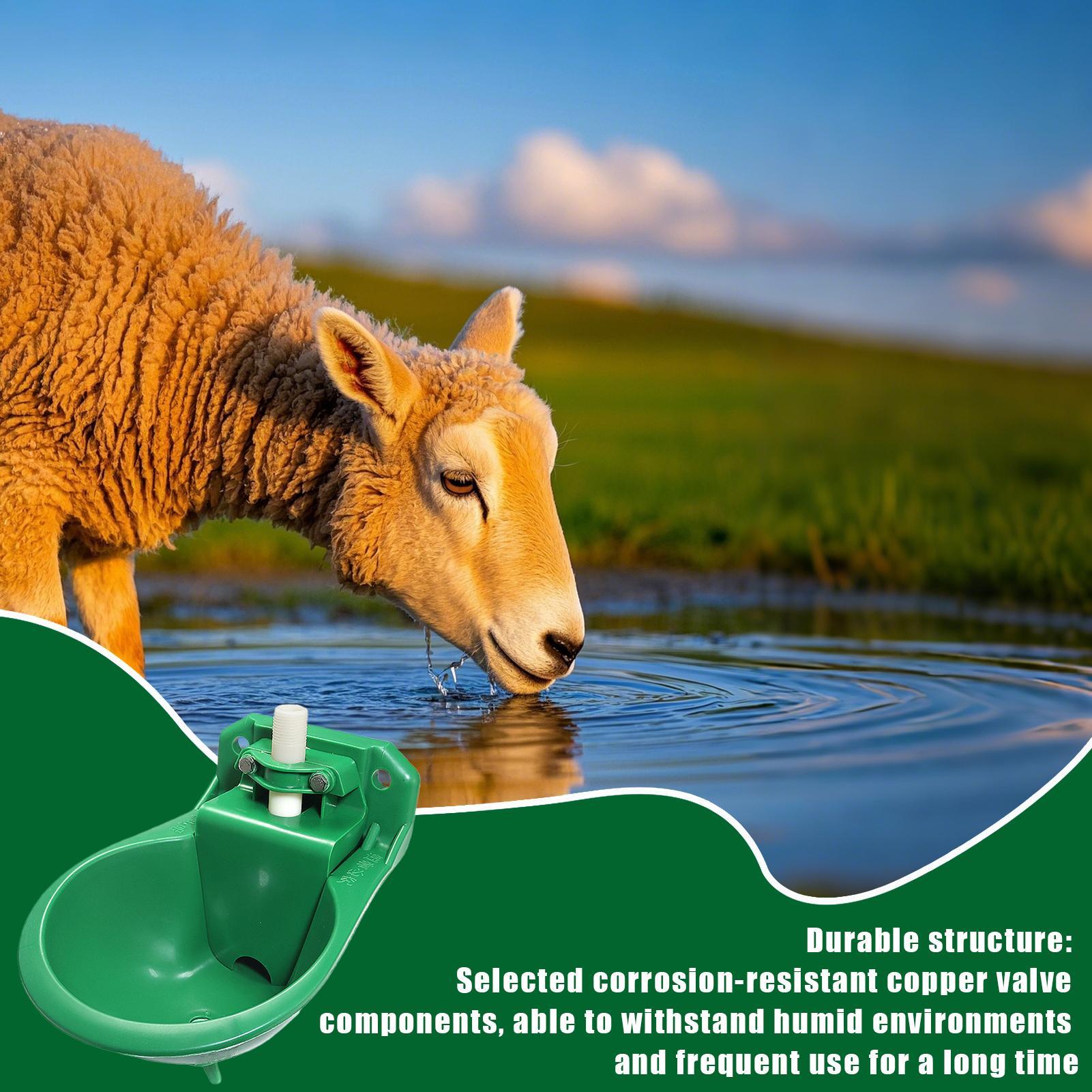 Gardening Tools Women - Abreuvoir pour chevaux avec valve en