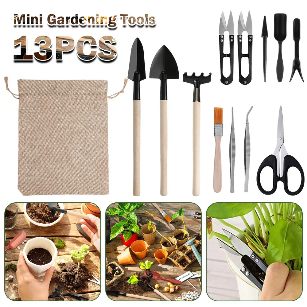Gardening Tools Sale - Ensemble d'outils pour plantes succulentes, kit