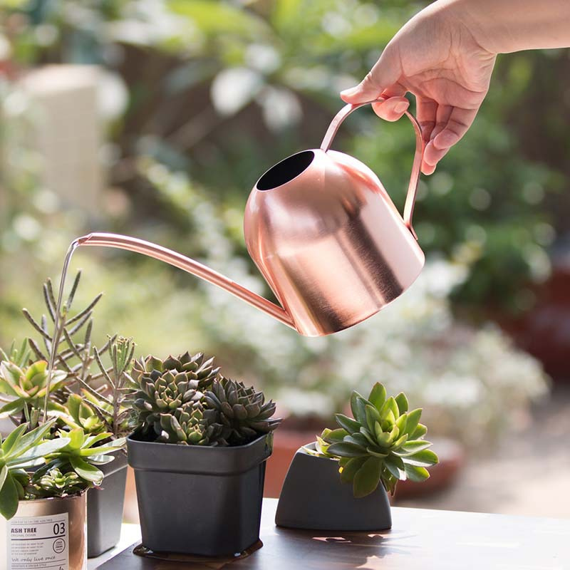 Watering Can Long Spout - Arrosoir en acier inoxydable, finition cuivre