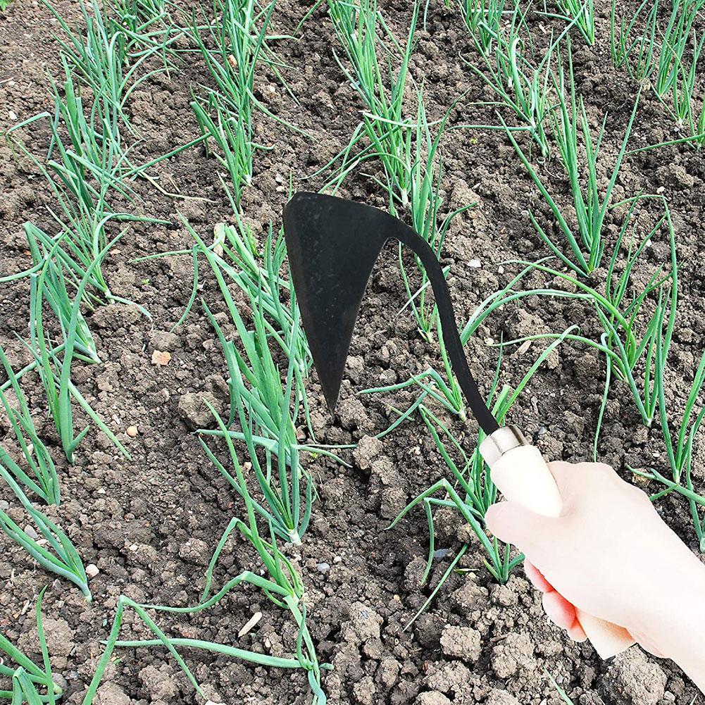 Outils agricoles : Haches tria - Gardening Tools For Weeds avis et prix