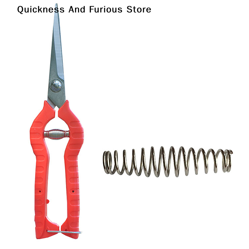 【A】Lot de 5 ressorts de rechan - Gardening Tools Australia avis et prix