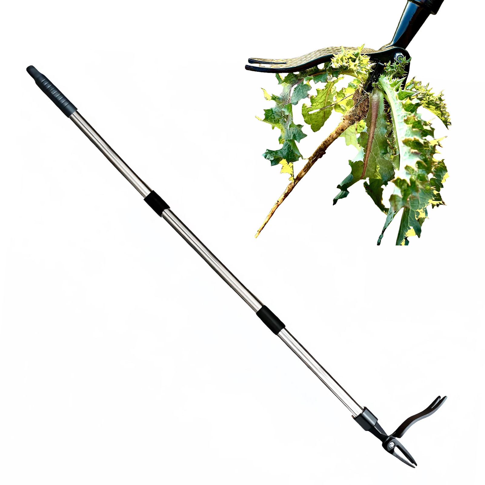 Extracteur de mauvaises herbes - Gardening Tools For Weeds avis et prix