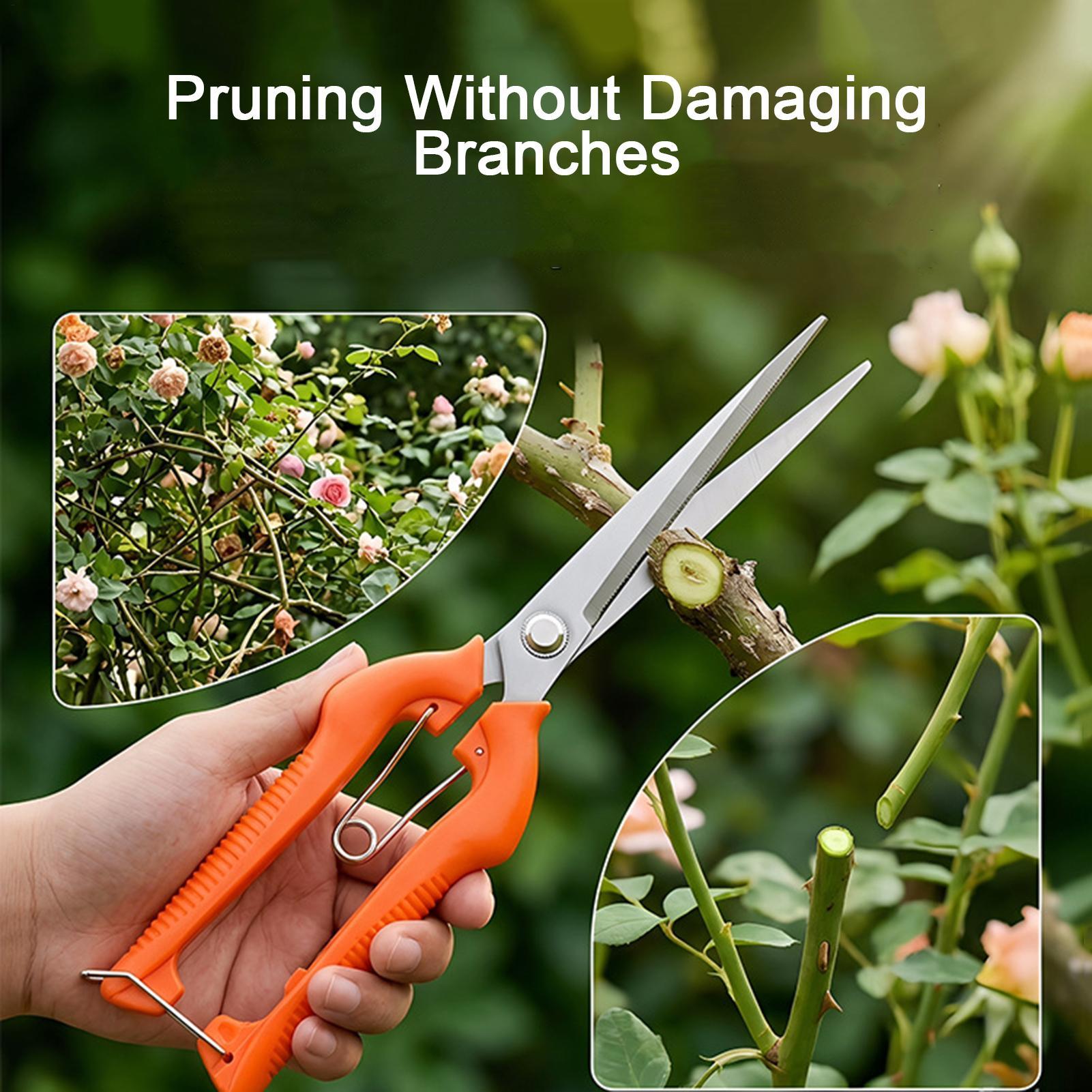 Sécateur professionnel en acie - Gardening Tools Women avis et prix