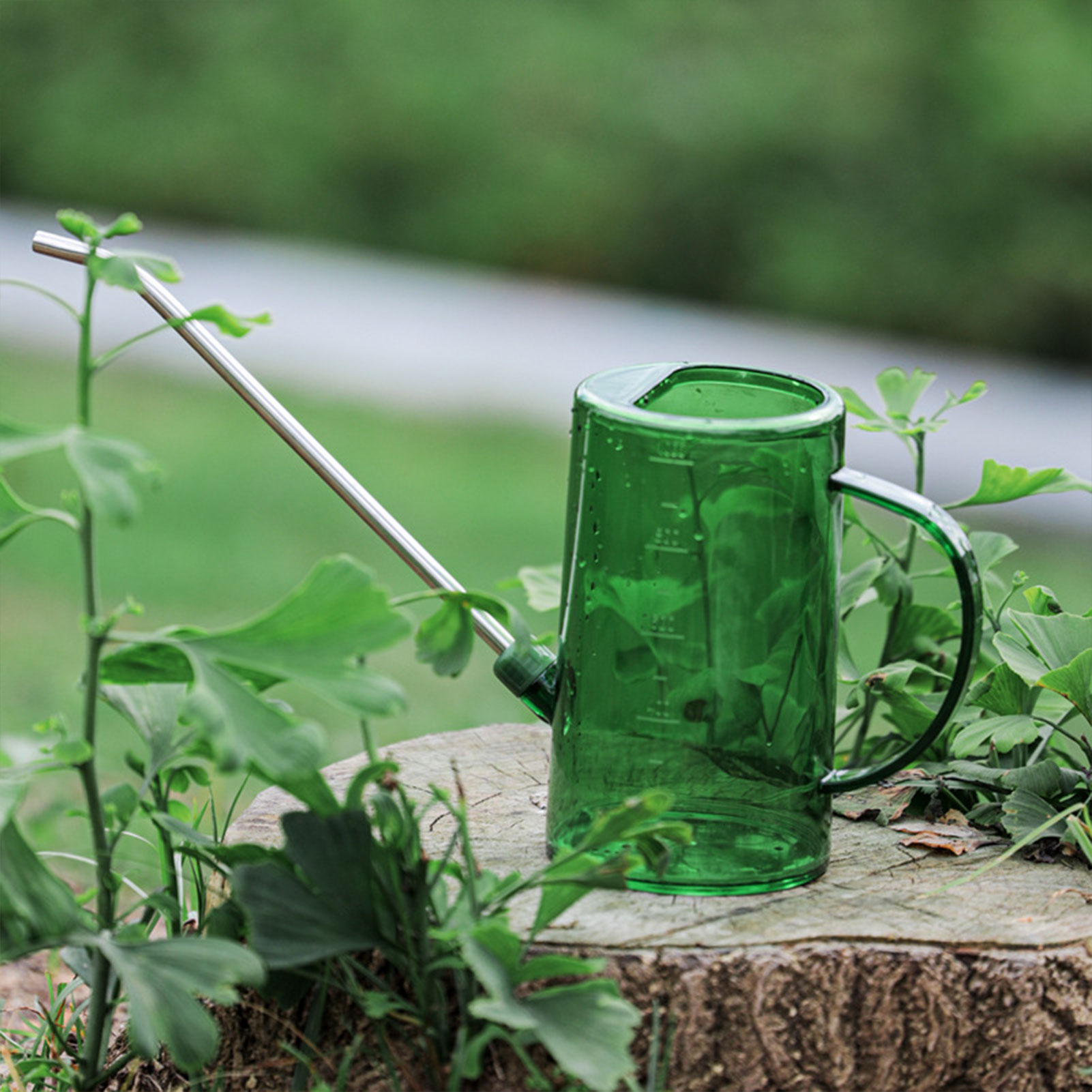 Arrosoir pour plantes d'intéri - Watering Can Long Spout avis et prix
