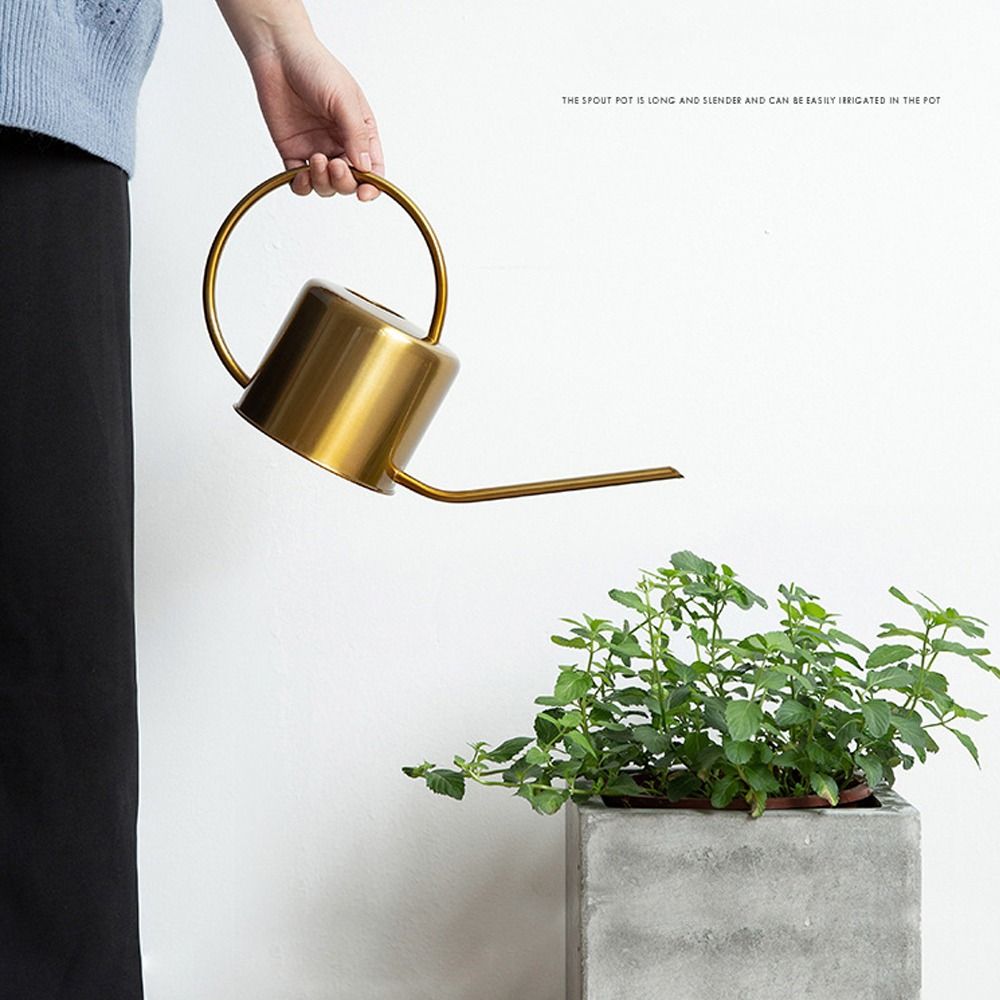 U haute qualité 1.3L plante ar - Watering Can Long Spout avis et prix