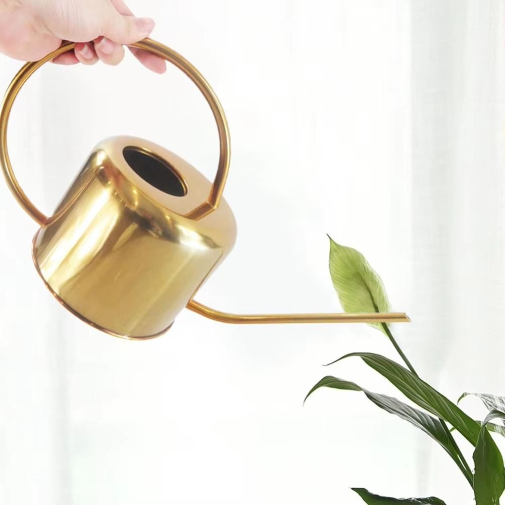 U haute qualité 1.3L plante ar - Watering Can Long Spout avis et prix