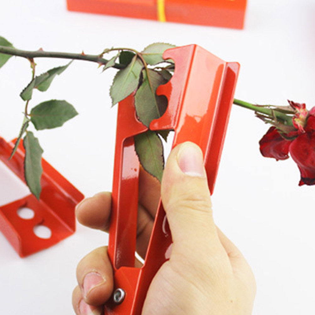 Pince à épines de rose, outil  - Gardening Tools Unique avis et prix