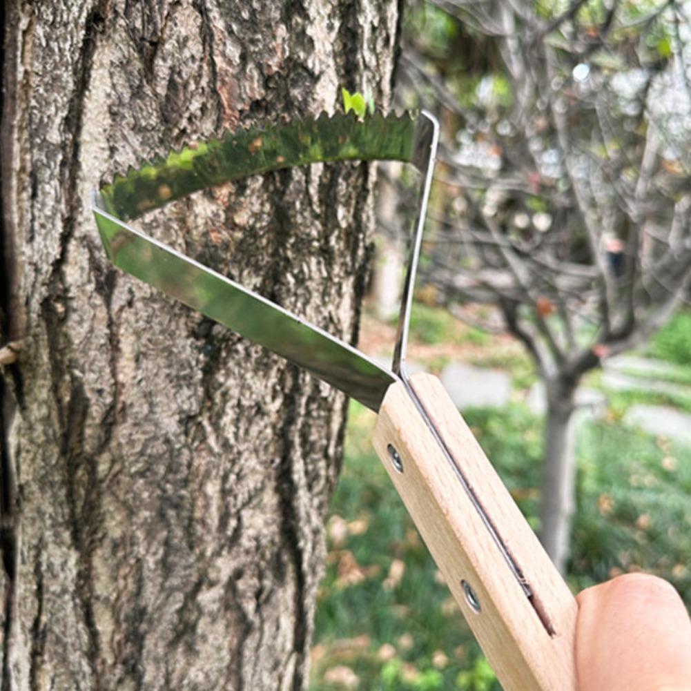 1 pièce Grattoir de nettoyage  - Gardening Tools For Weeds avis et prix