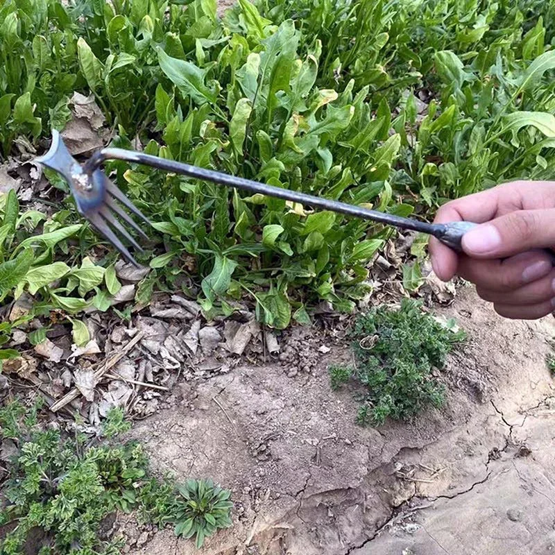 Désherbeur manuel de jardin en - Gardening Tools For Weeds avis et prix