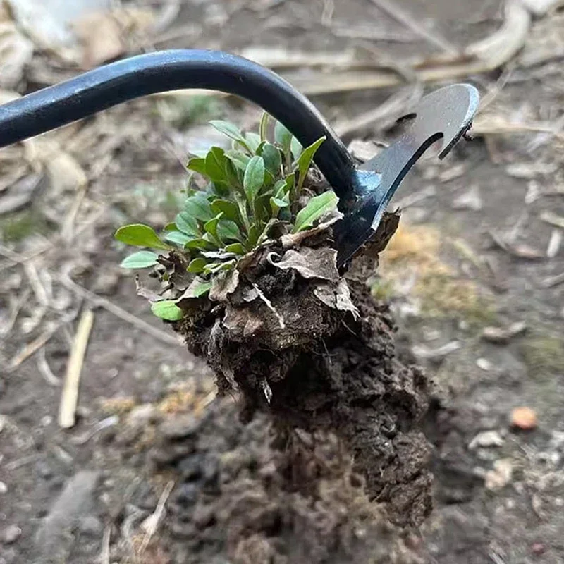 Désherbeur manuel de jardin en - Gardening Tools For Weeds avis et prix
