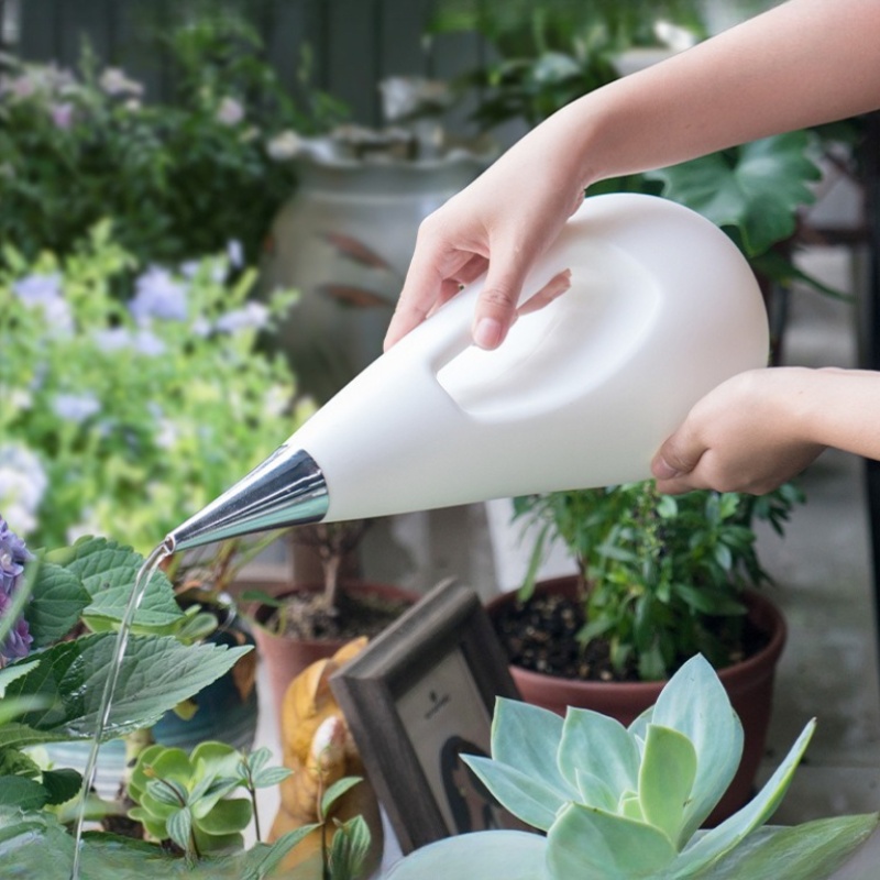 Arrosoir à long bec pour plant - Watering Can Long Spout avis et prix