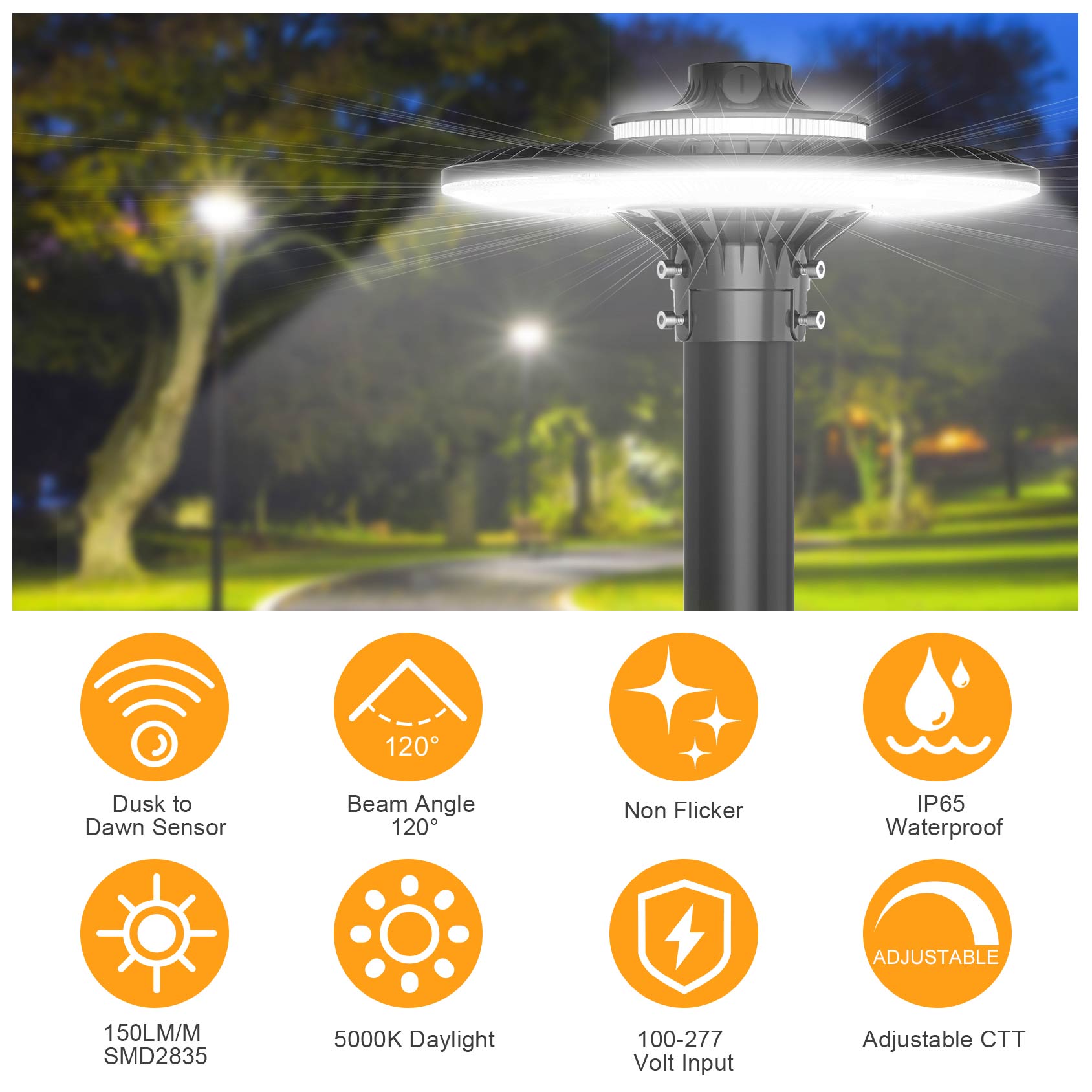 LED POST TOP Fixture ETL CE UL - Gardening Tools List avis et prix