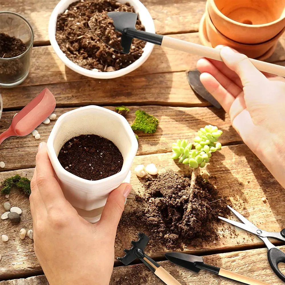 Ensemble d'outils pour plantes - Gardening Tools Sale avis et prix