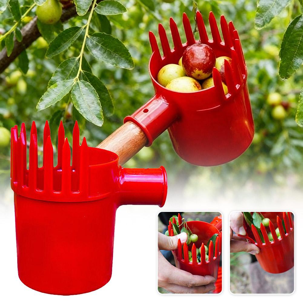 Outil de cueillette de fruits  - Gardening Yard Tools avis et prix