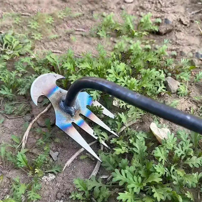 Arracheur de mauvaises herbes  - Gardening Tools For Weeds avis et prix