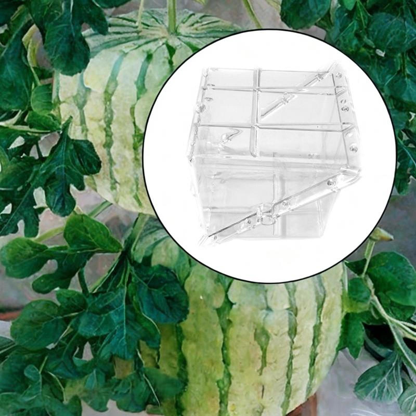 Équipement de moule de croissa - Gardening Tools Unique avis et prix