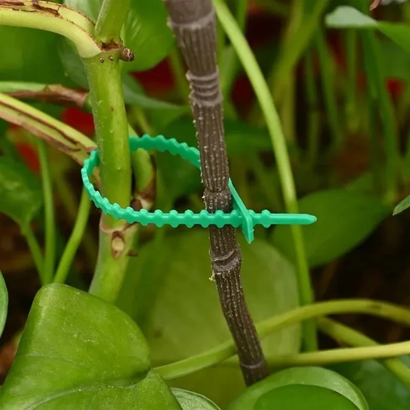 Attaches de jardin réutilisabl - Gardening Tools Organizer avis et prix