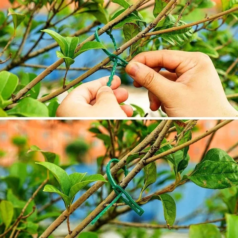 Attaches de jardin réutilisabl - Gardening Tools Organizer avis et prix