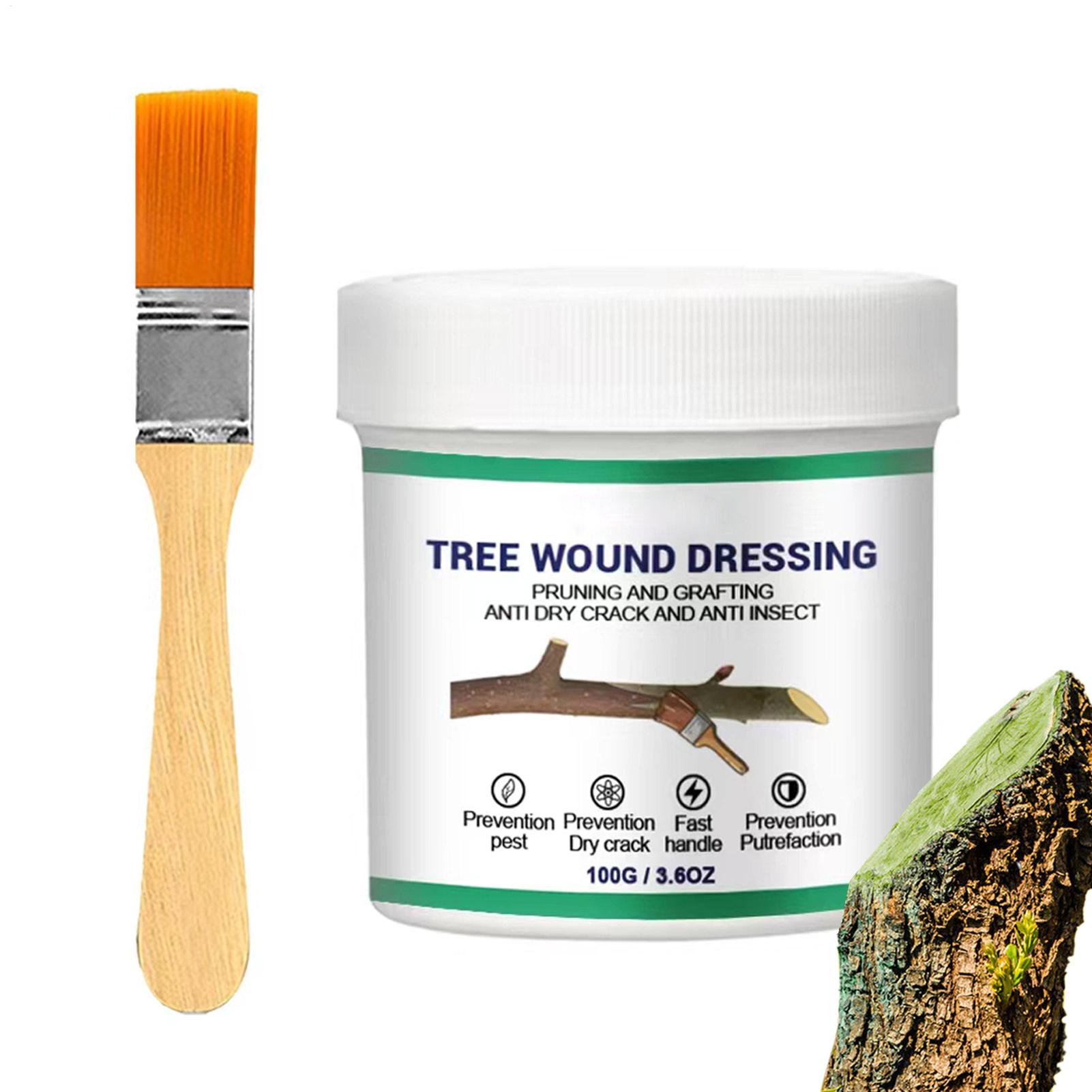 Pâte de greffage d'arbres, Pât - Gardening Tools Women avis et prix
