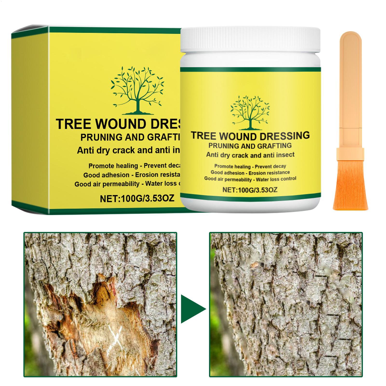 Pâte de greffage d'arbres, Pât - Gardening Tools Women avis et prix
