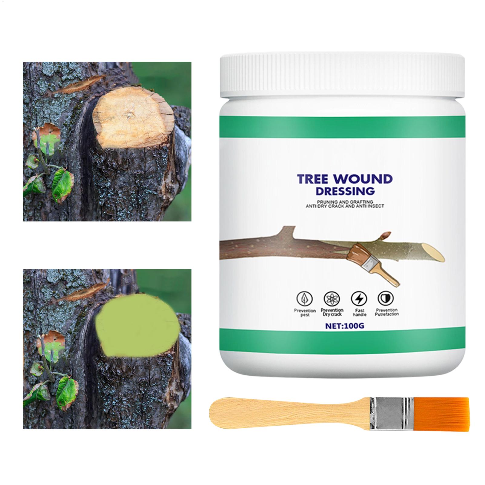 Pâte de greffage d'arbres, Pât - Gardening Tools Women avis et prix