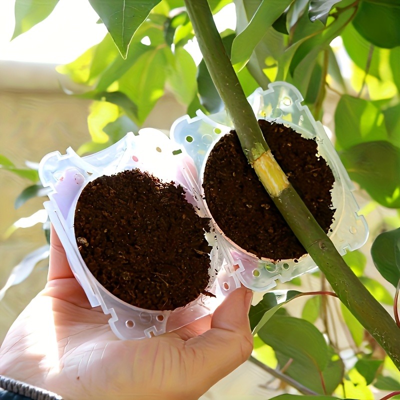 Kit de 10 pièces pour la propa - Gardening Tools Cutter avis et prix