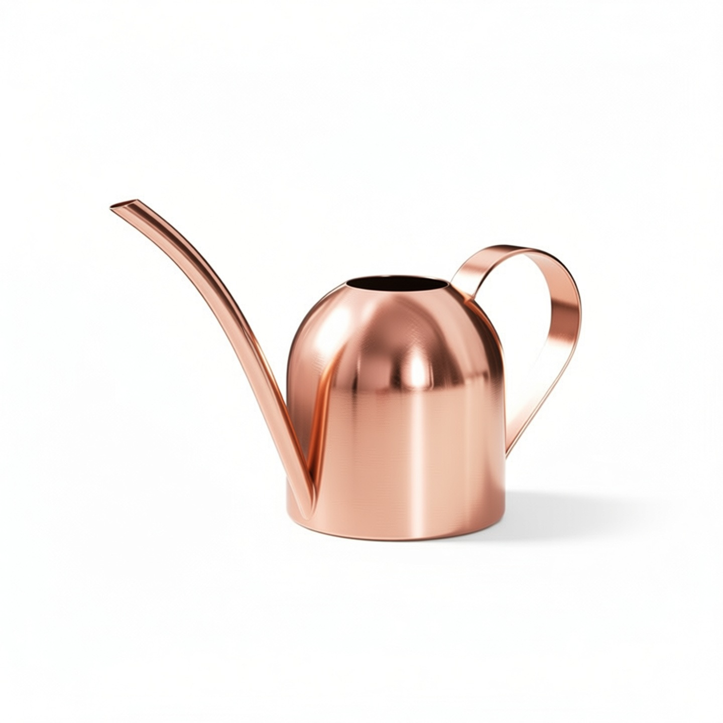 Arrosoir en acier inoxydable,  - Watering Can Long Spout avis et prix